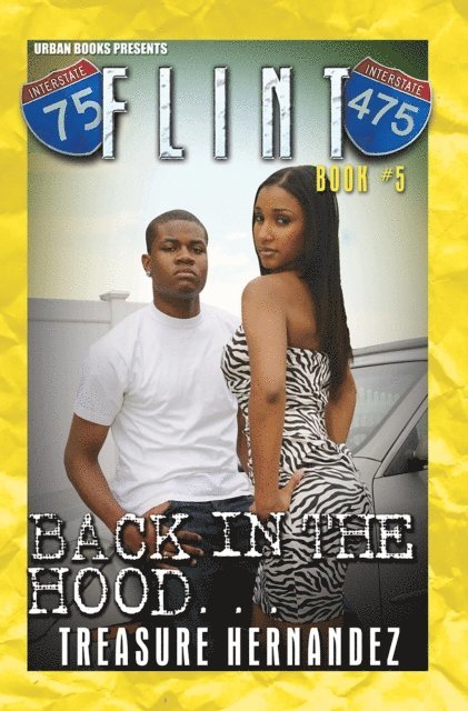 Treasure Hernandez - Flint Book 5:, E-bok