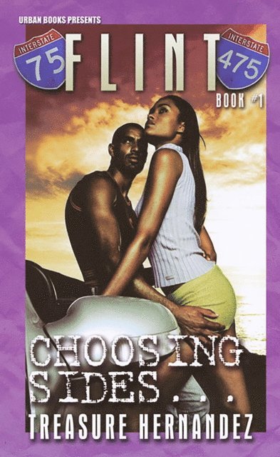 Treasure Hernandez - Flint Book 1:, E-bok