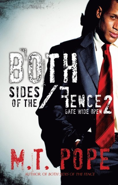 M.T. Pope - Both Sides of the Fence 2:, E-bok