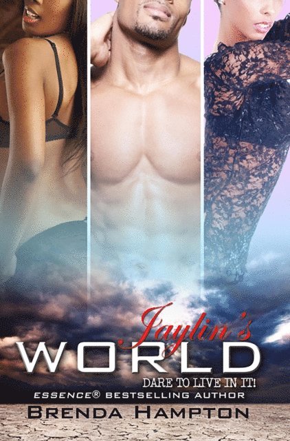 Brenda Hampton - Jaylin's World, E-bok