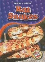 Colleen Sexton - Rat Snakes, Inbunden. Tillgänglighet: Tillfälligt slut