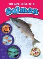 Colleen Sexton - The Life Cycle of a Salmon, Häftad