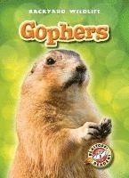 Derek Zobel - Gophers, Inbunden