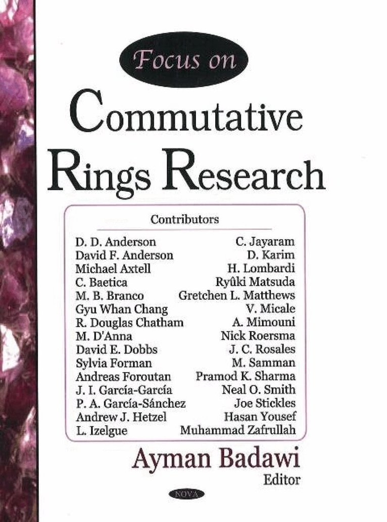 Ayman Badawi - Focus on Commutative Rings Research, Inbunden
