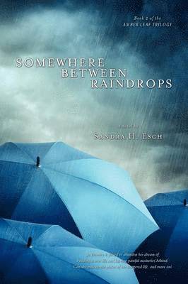 Sandra H. Esch - Somewhere Between Raindrops, Häftad