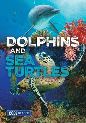 Treasure Bay - Dolphins and Sea Turtles, Häftad