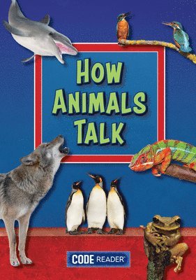 Treasure Bay - How Animals Talk, Häftad