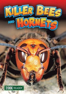 Treasure Bay - Killer Bees and Hornets, Häftad