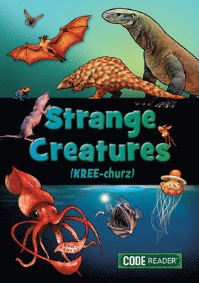 Treasure Bay - Strange Creatures, Häftad
