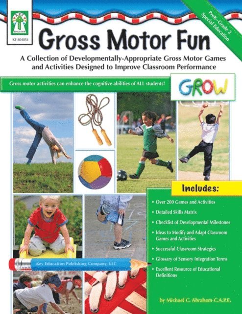 Michael C. Abraham - Gross Motor Fun, Grades PK - 2, E-bok