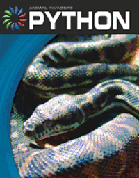 Barbara A. Somervill - Python, Inbunden. Tillgänglighet: Tillfälligt slut