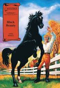 Black Beauty Graphic Novel