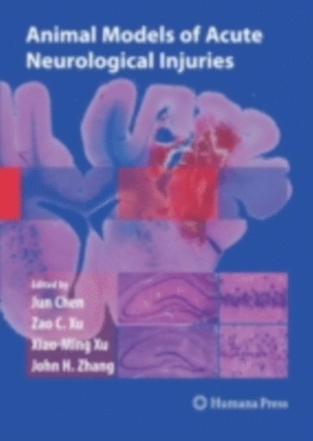 Zao C. Xu, Xiao-Ming Xu, Jun Chen - Animal Models of Acute Neurological Injuries, E-bok