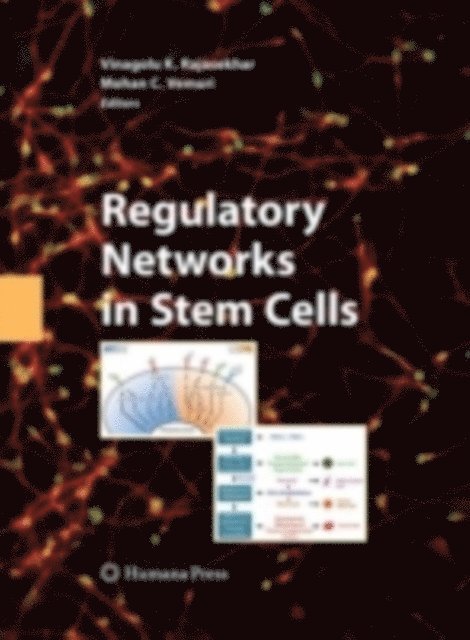 Vinagolu K. Rajasekhar - Regulatory Networks in Stem Cells, E-bok