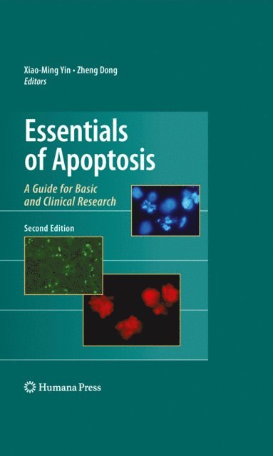 Zheng Dong, Xiao-Ming Yin - Essentials of Apoptosis, E-bok