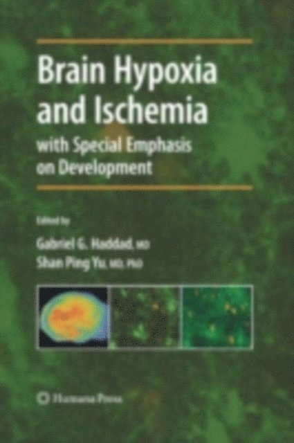 Shan Ping Yu, Gabriel G. Haddad - Brain Hypoxia and Ischemia, E-bok