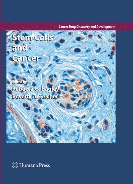 Beverly A. Teicher, Rebecca G. Bagley - Stem Cells and Cancer, E-bok