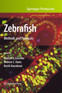 Zebrafish