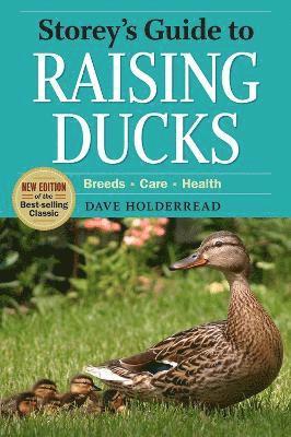 Dave Holderread - Storey's Guide to Raising Ducks, 2nd Edition, Häftad