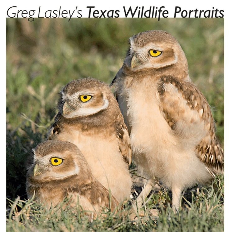 Greg W. Lasley - Greg Lasley's Texas Wildlife Portraits, Inbunden. Tillgänglighet: Tillfälligt slut