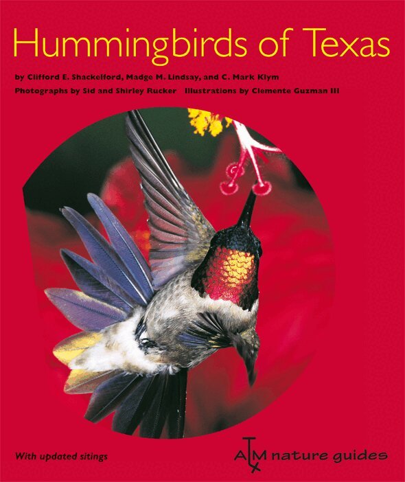 Clifford E. Shackelford, Madge M. Lindsay - Hummingbirds of Texas, Häftad. Tillgänglighet: Tillfälligt slut