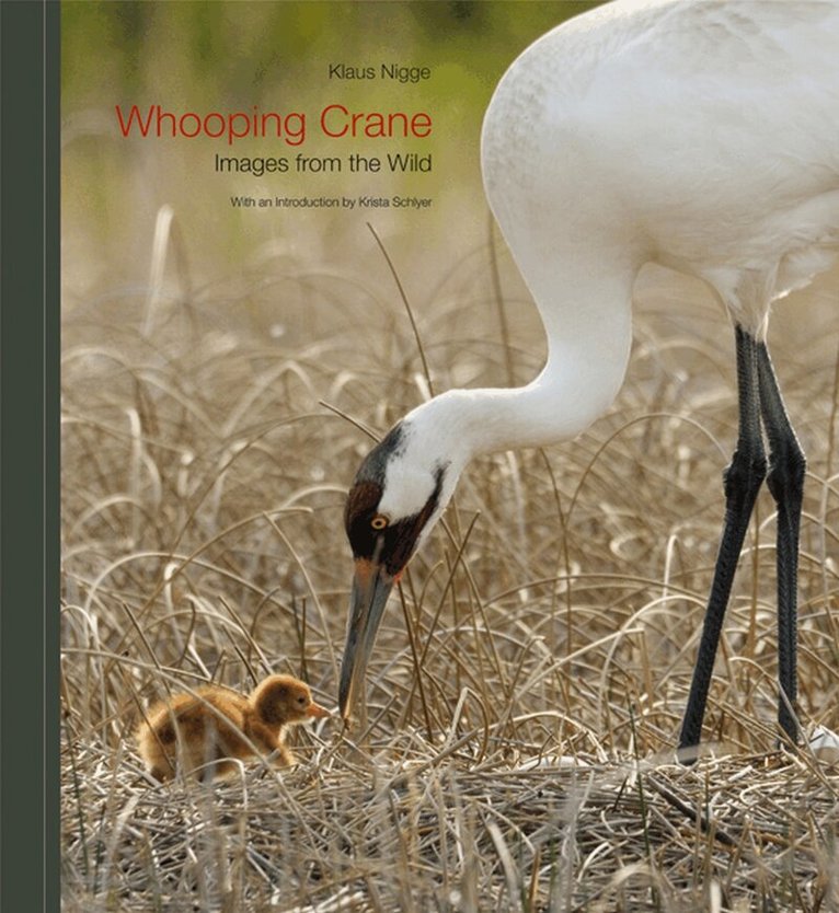 Klaus Nigge - Whooping Crane, Inbunden
