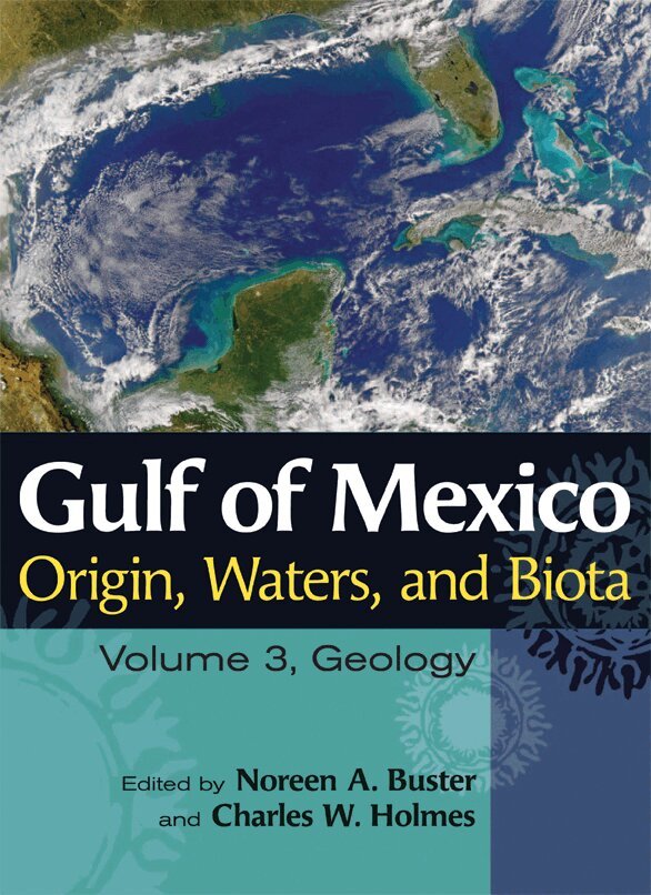 Noreen A. Buster, Charles W. Holmes - Gulf of Mexico Origin, Waters, and Biota, Inbunden. Tillgänglighet: Tillfälligt slut
