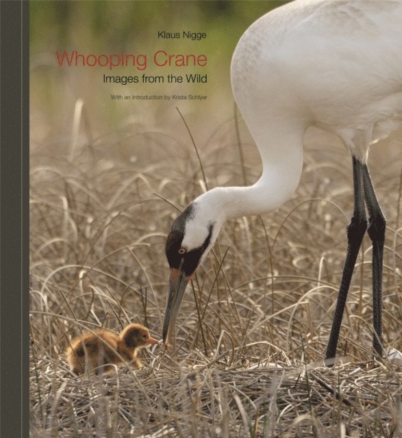 Klaus Nigge - Whooping Crane, E-bok