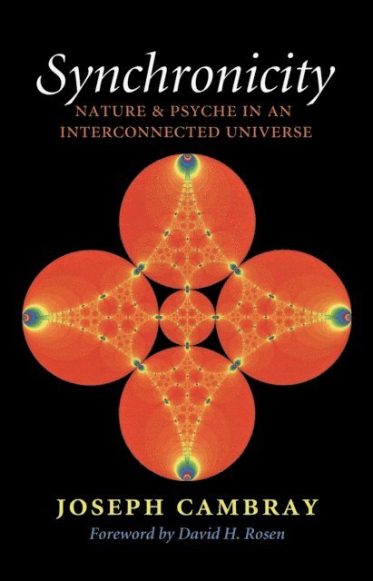 Joseph Cambray - Synchronicity, E-bok