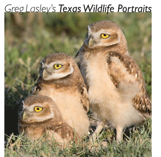 Greg W. Lasley - Greg Lasley's Texas Wildlife Portraits, E-bok. Tillgänglighet: Lägg i varukorg