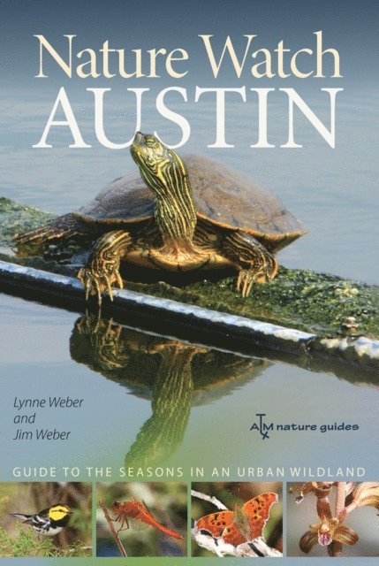 Jim Weber, Lynne M. Weber - Nature Watch Austin, E-bok
