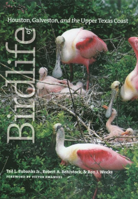 Ron J. Weeks, Robert A. Behrstock, Ted L. Eubanks - Birdlife of Houston, Galveston, and the Upper Texas Coast, E-bok