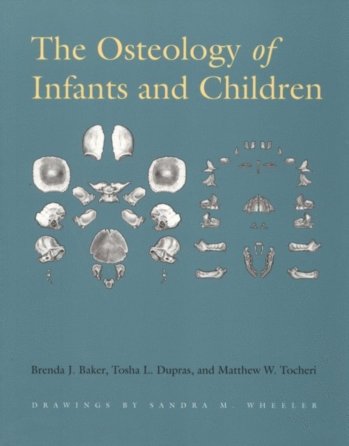 Matthew W. Tocheri, Tosha L. Dupras, Brenda J. Baker - Osteology of Infants and Children, E-bok
