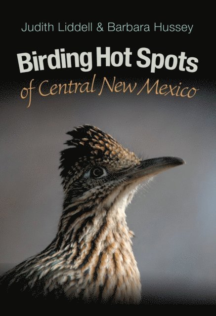 Barbara Hussey, Judith Liddell - Birding Hot Spots of Central New Mexico, E-bok