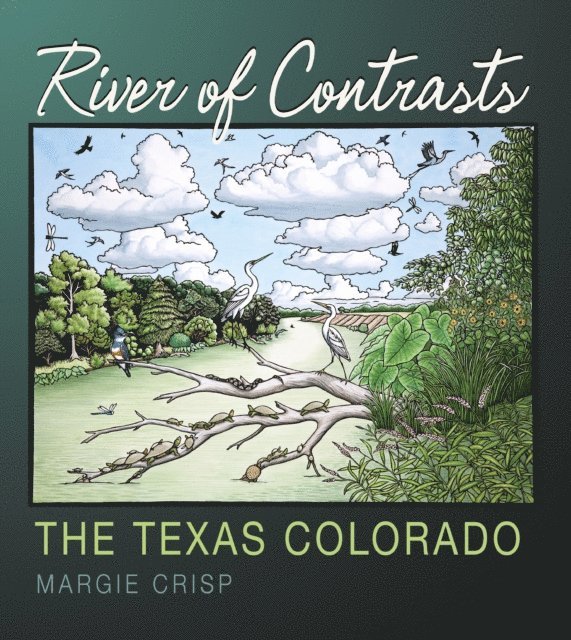 Margie Crisp - River of Contrasts, E-bok