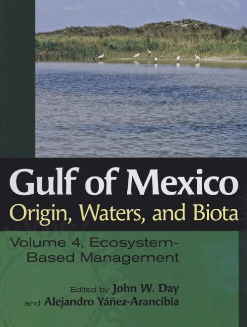 John W. Day, Alejandro Yáñez-Arancibia - Gulf of Mexico Origin, Waters, and Biota, Inbunden. Tillgänglighet: Tillfälligt slut