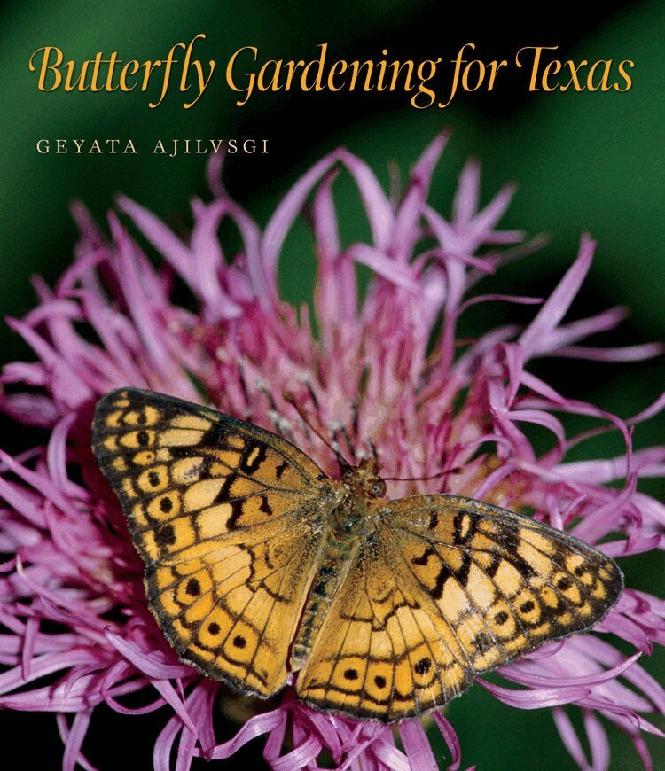 Geyata Ajilvsgi - Butterfly Gardening for Texas, Häftad. Tillgänglighet: Tillfälligt slut