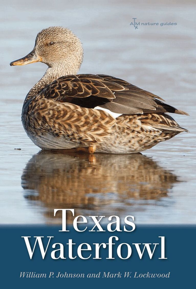 William P. Johnson, Mark W. Lockwood - Texas Waterfowl, Häftad. Tillgänglighet: Tillfälligt slut