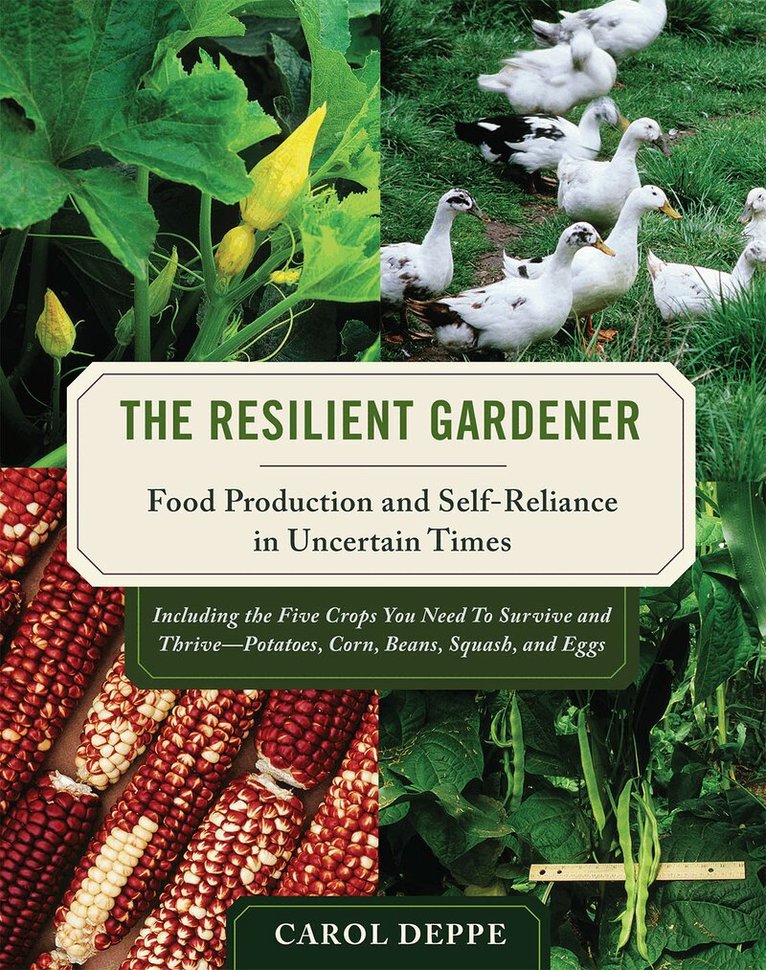 Carol Deppe - Resilient Gardener, Häftad