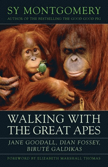Sy Montgomery - Walking with the Great Apes, E-bok