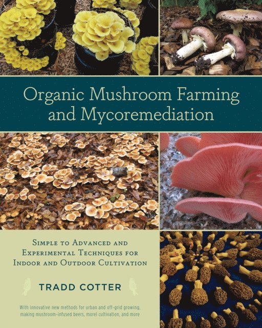 Tradd Cotter - Organic Mushroom Farming and Mycoremediation, E-bok