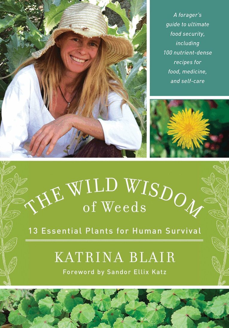 Katrina Blair - Wild Wisdom of Weeds, Häftad