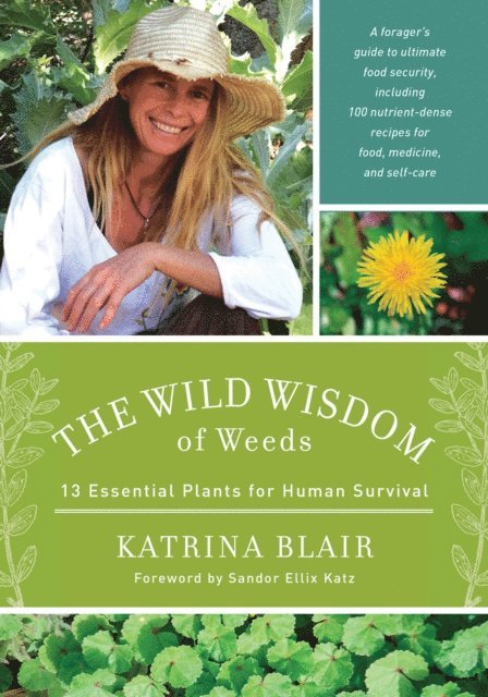 Katrina Blair - Wild Wisdom of Weeds, E-bok