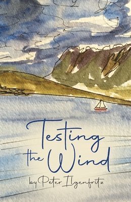 Peter Ilgenfritz - Testing the Wind, Häftad