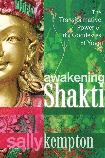 Sally Kempton - Awakening Shakti, E-bok