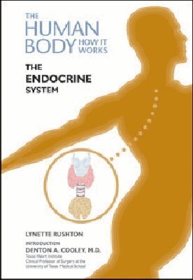 Lynette Rushton - Endocrine System, Inbunden. Tillgänglighet: Tillfälligt slut