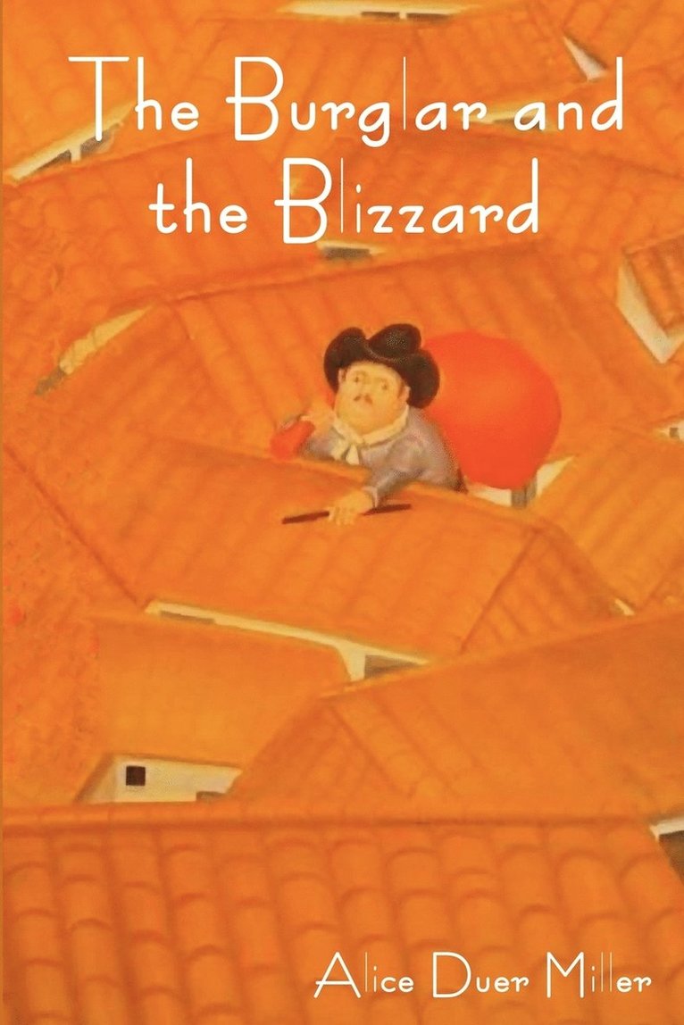 Alice Duer Miller - Burglar and the Blizzard, Häftad