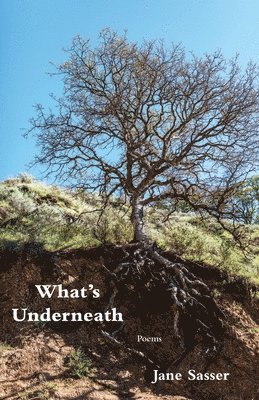 Jane Sasser - What's Underneath, Häftad. Tillgänglighet: Lägg i varukorg