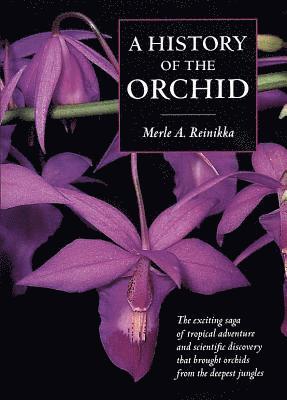 History of the Orchid