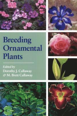 Dorothy J. Callaway, Dorothy J. Callaway, M. Brett Callaway - Breeding Ornamental Plants, Häftad. Tillgänglighet: Lägg i varukorg